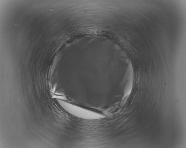 X0000080691202200701051051