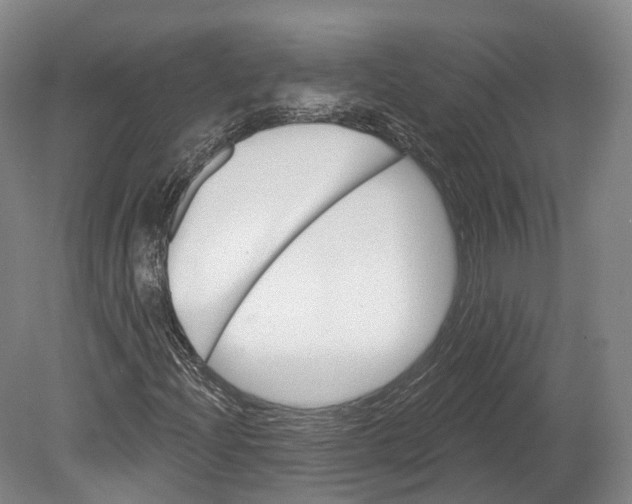 X0000080691204200701051051