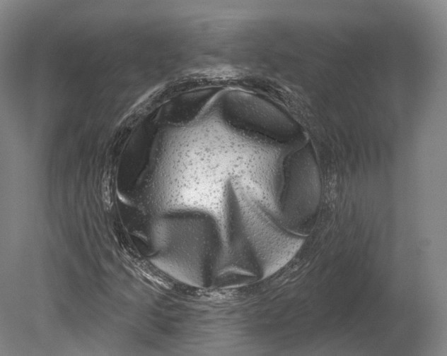 X0000080691205200701051051