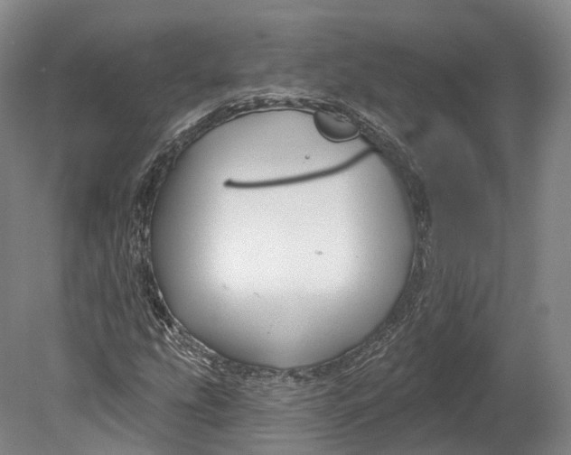 X0000080691207200701051051