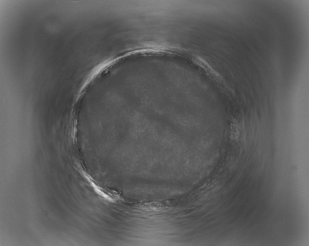 X0000080691208200701051051