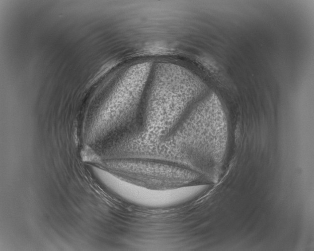 X0000080691209200701051051