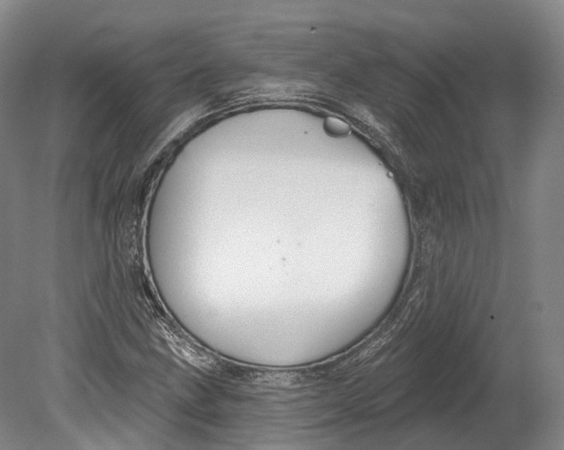 X0000080691211200701051051