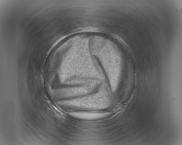 X0000080691212200701051051