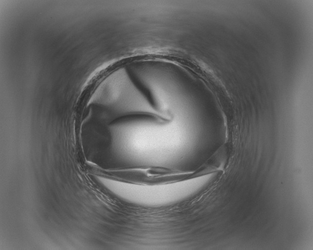 X0000080691214200701051051