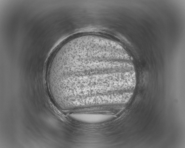 X0000080691216200701051051