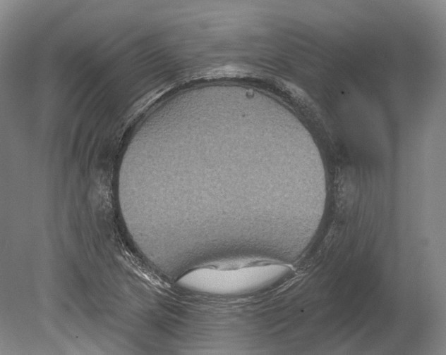 X0000080691217200701051051