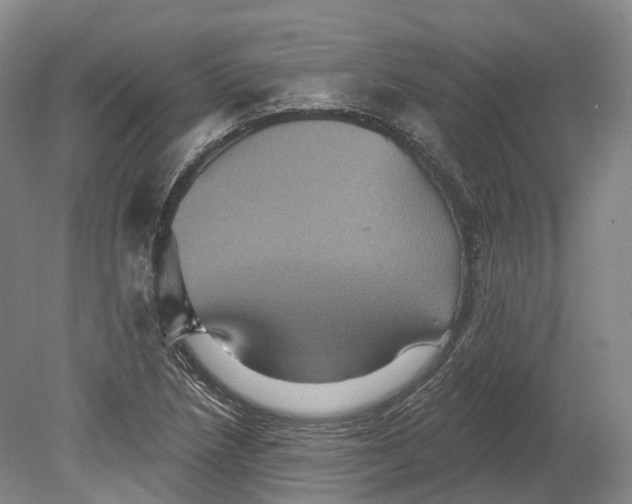 X0000080691218200701051051