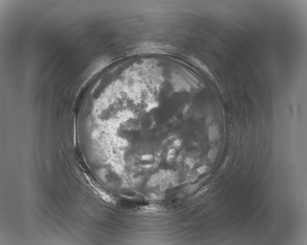 X0000080691219200701051051