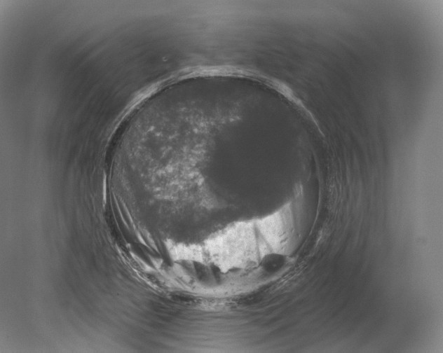 X0000080691221200701051051