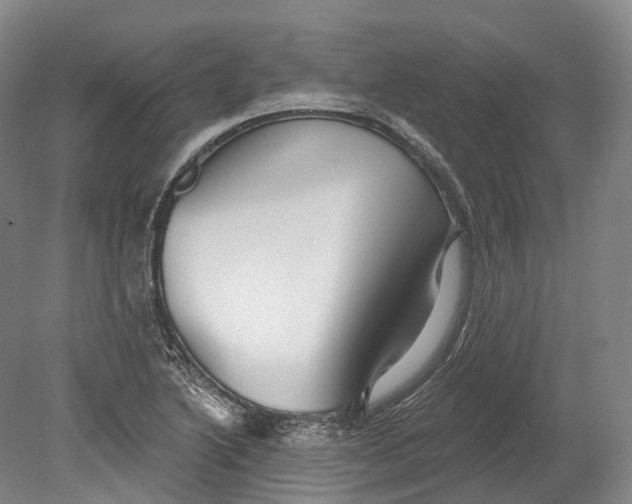 X0000080691222200701051051