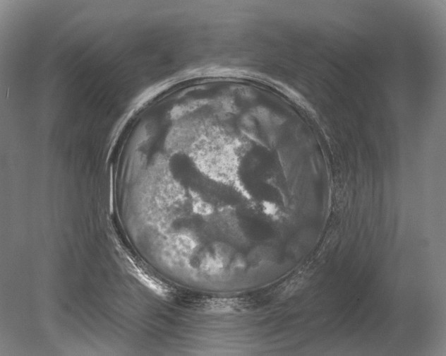 X0000080691223200701051051