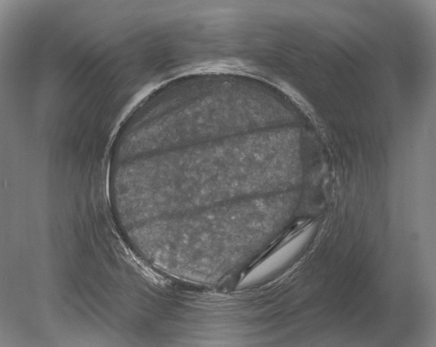 X0000080691224200701051051