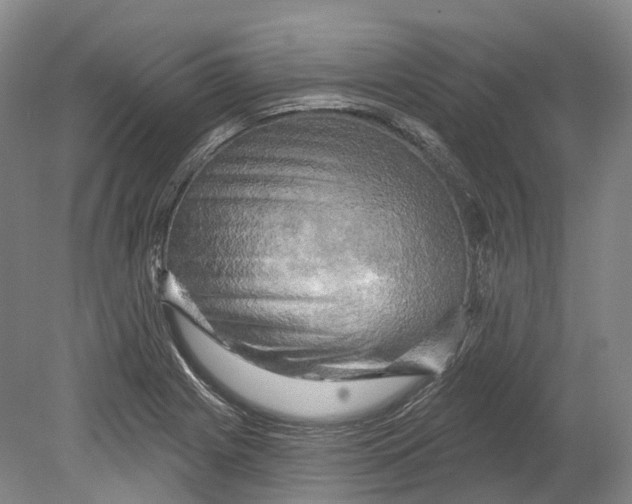 X0000080691225200701051051