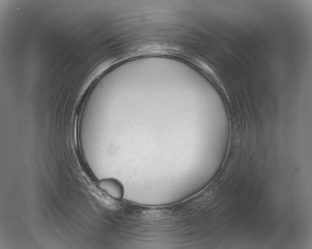 X0000080691227200701051051