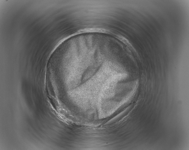 X0000080691228200701051051