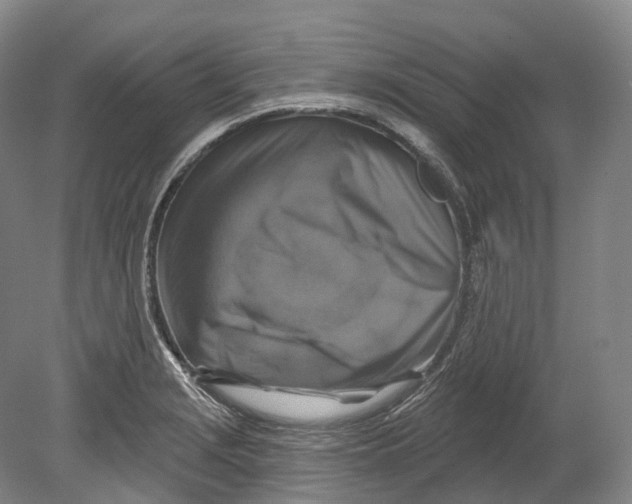 X0000080691229200701051051