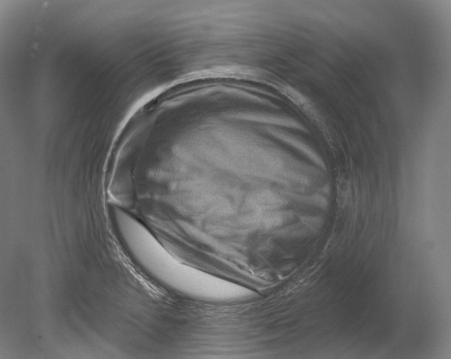 X0000080691230200701051051