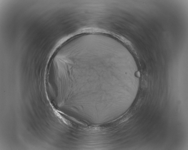 X0000080691231200701051052