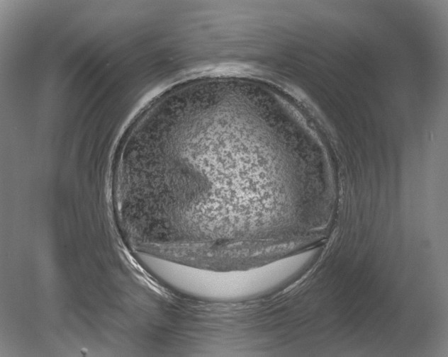 X0000080691232200701051052