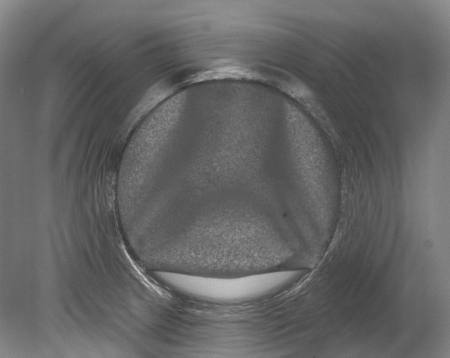 X0000080691233200701051052