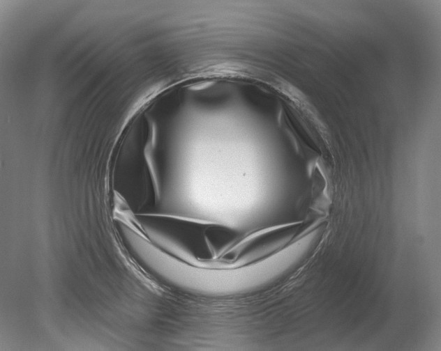 X0000080691234200701051052