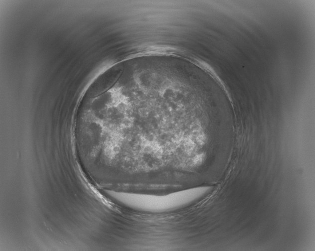 X0000080691235200701051052