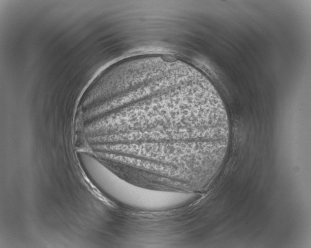 X0000080691236200701051052