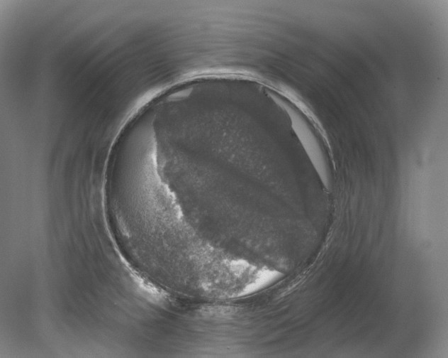 X0000080691237200701051052