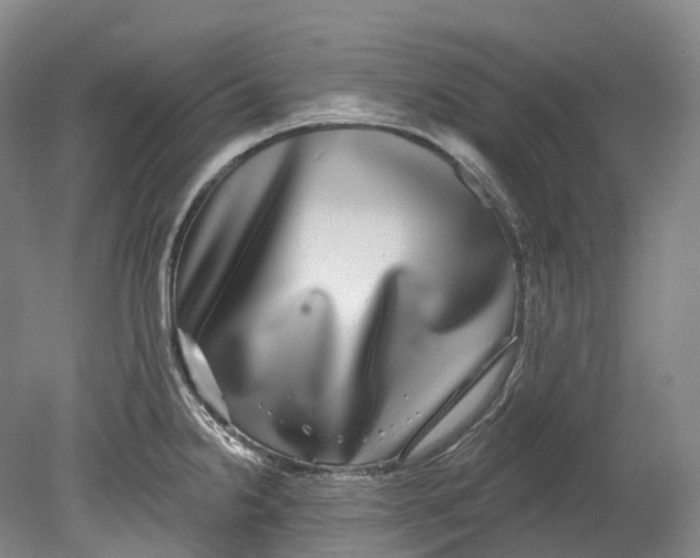 X0000080691238200701051052