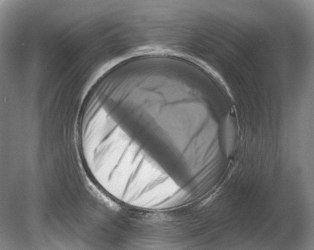 X0000080691239200701051052