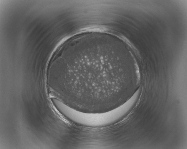 X0000080691240200701051052