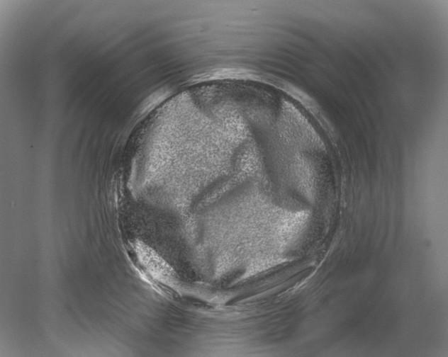 X0000080691241200701051052