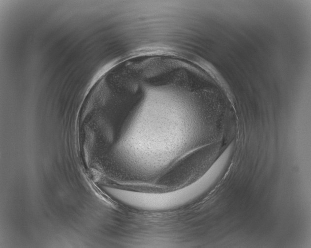 X0000080691242200701051052