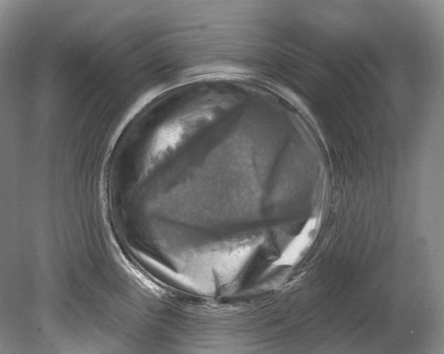 X0000080691243200701051052