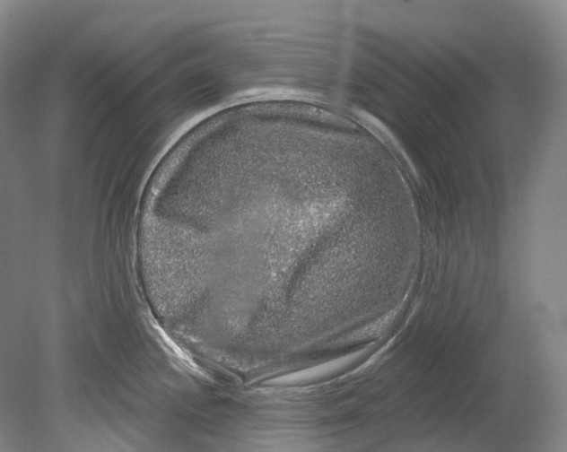 X0000080691244200701051052