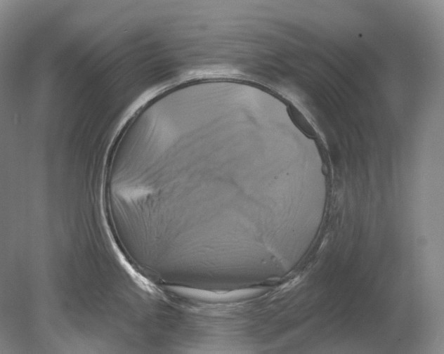 X0000080691245200701051052