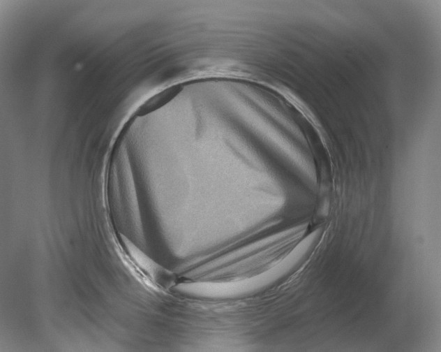 X0000080691246200701051052