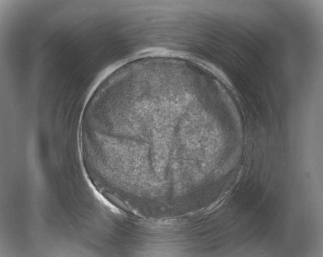 X0000080691247200701051052