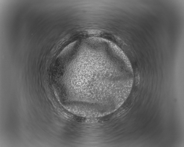 X0000080691249200701051051