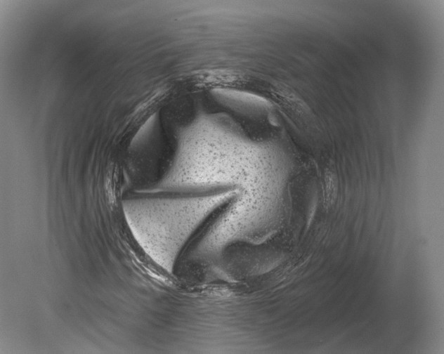 X0000080691250200701051051