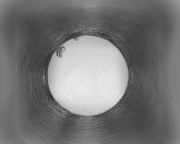 X0000080691252200701051051