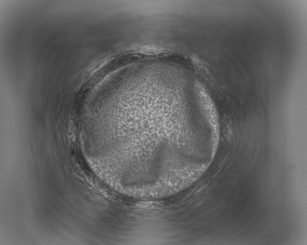 X0000080691253200701051051