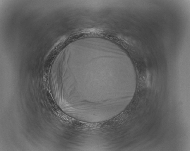 X0000080691254200701051051