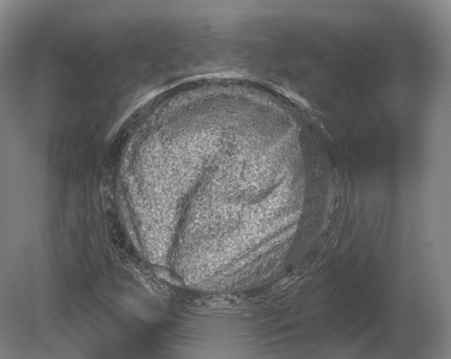 X0000080691255200701051051