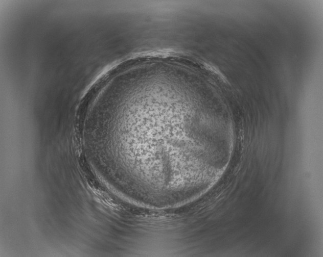 X0000080691256200701051051