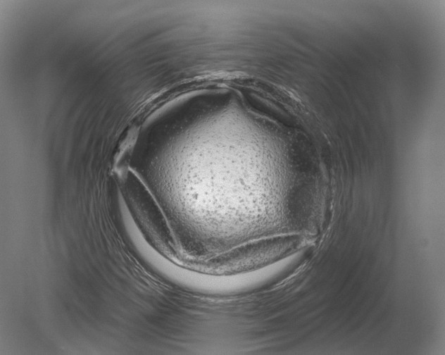 X0000080691257200701051051