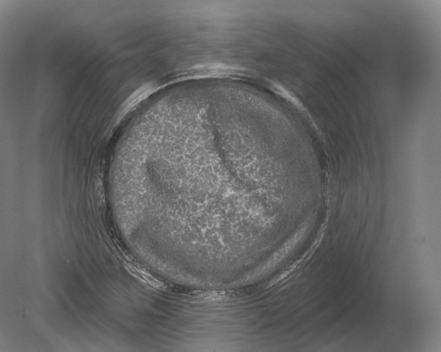 X0000080691259200701051051