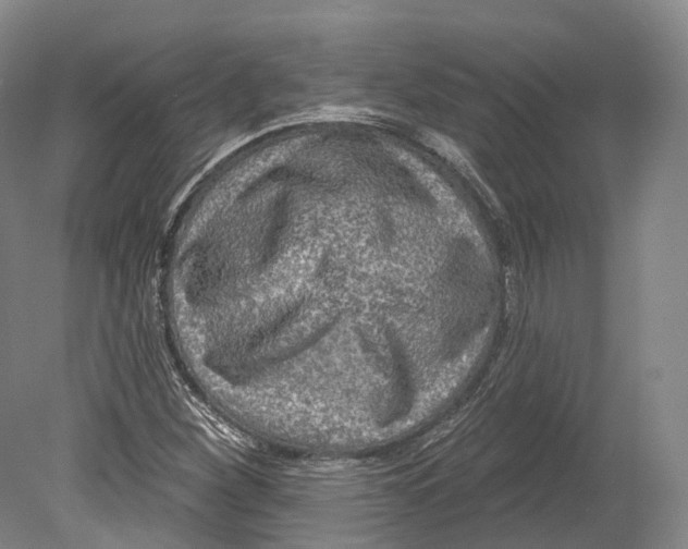 X0000080691260200701051051