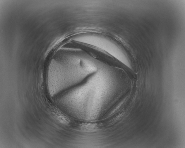 X0000080691261200701051051